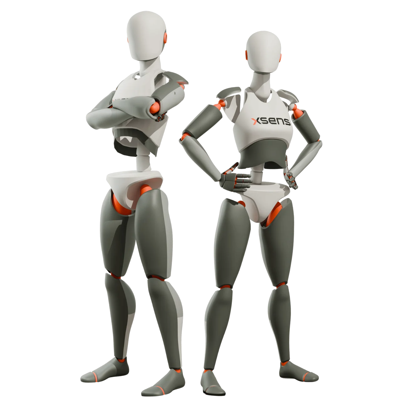 Biomechanische Modelle für Männer und Frauen
